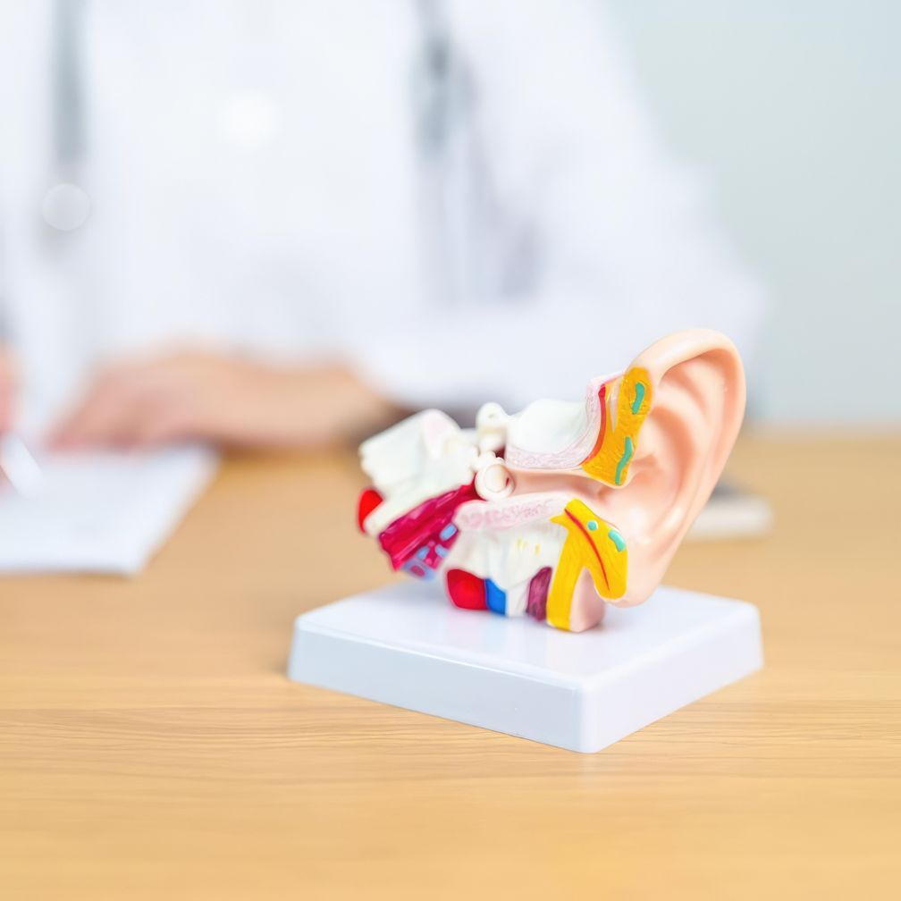 An anatomical model of a human ear on a desk with a blurred healthcare professional in the background.